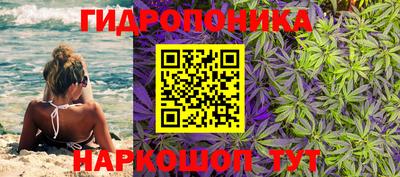 гашиш Славгород