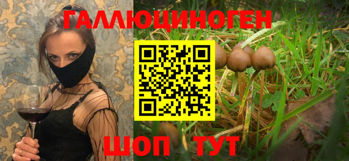Галлюциногенные грибы прущие грибы  Вход с VPN  Галлюциногенные грибы Psilocybine cubensis  Ноябрьск 